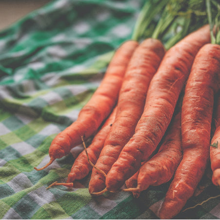 fresh carrots on table