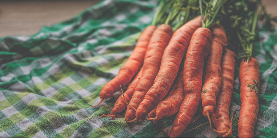 fresh carrots on table