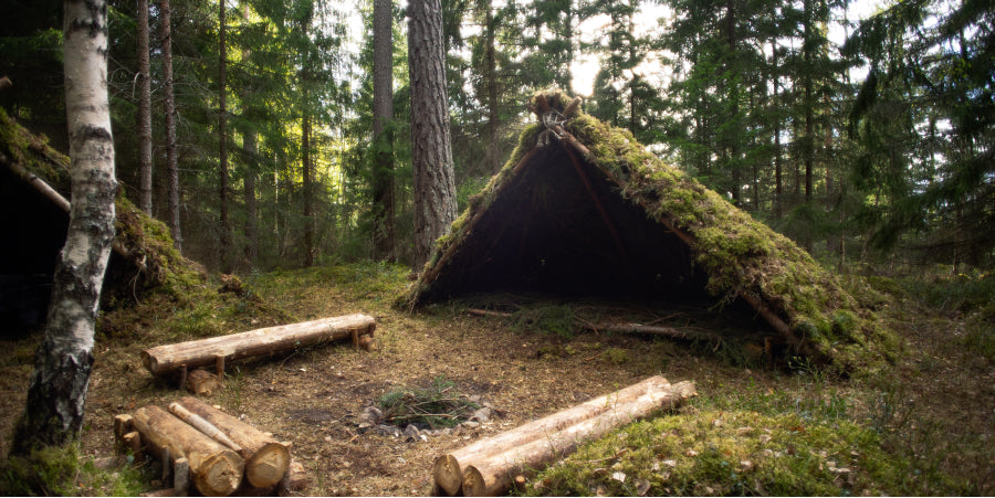 rustic shelter in forest