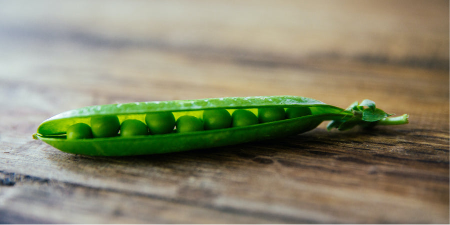 fresh green pea on table