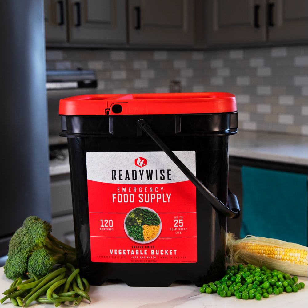120 Serving Freeze Dried Vegetable Bucket - Readywise Emergency Food ...